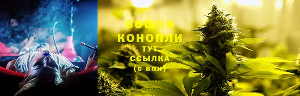 сатива Алзамай