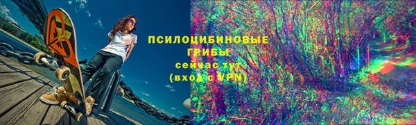 сатива Алзамай