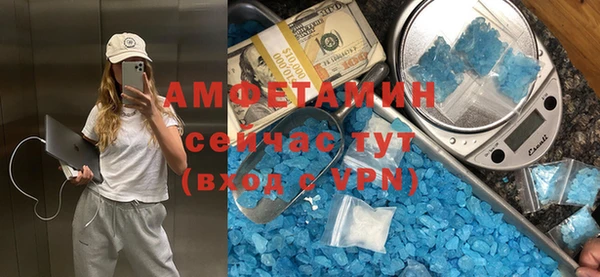 сатива Алзамай