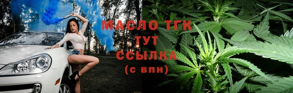 сатива Алзамай