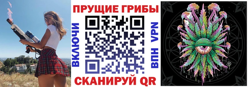 Галлюциногенные грибы Psilocybine cubensis  ссылка на мегу   Покачи  закладка 